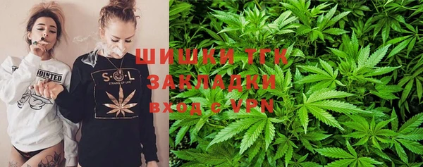 прущие грибы Балабаново