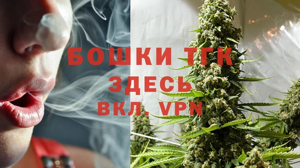 прущие грибы Балабаново